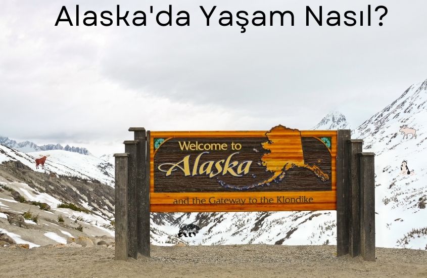Alaska Hakkında 16 İlginç Bilgi | Alaska’da Yaşam